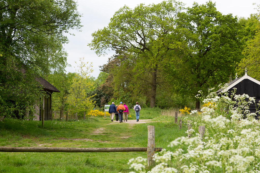 wandelen in het reestdal, Bennink fotografie